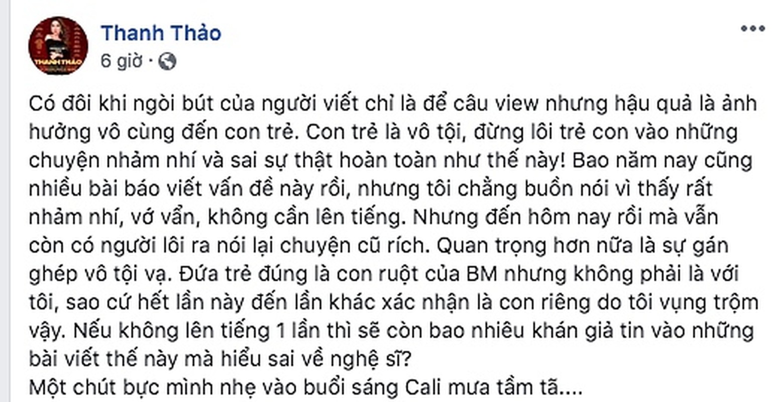 Thanh Thao noi ve loi don... co con trai voi Binh Minh-Hinh-2