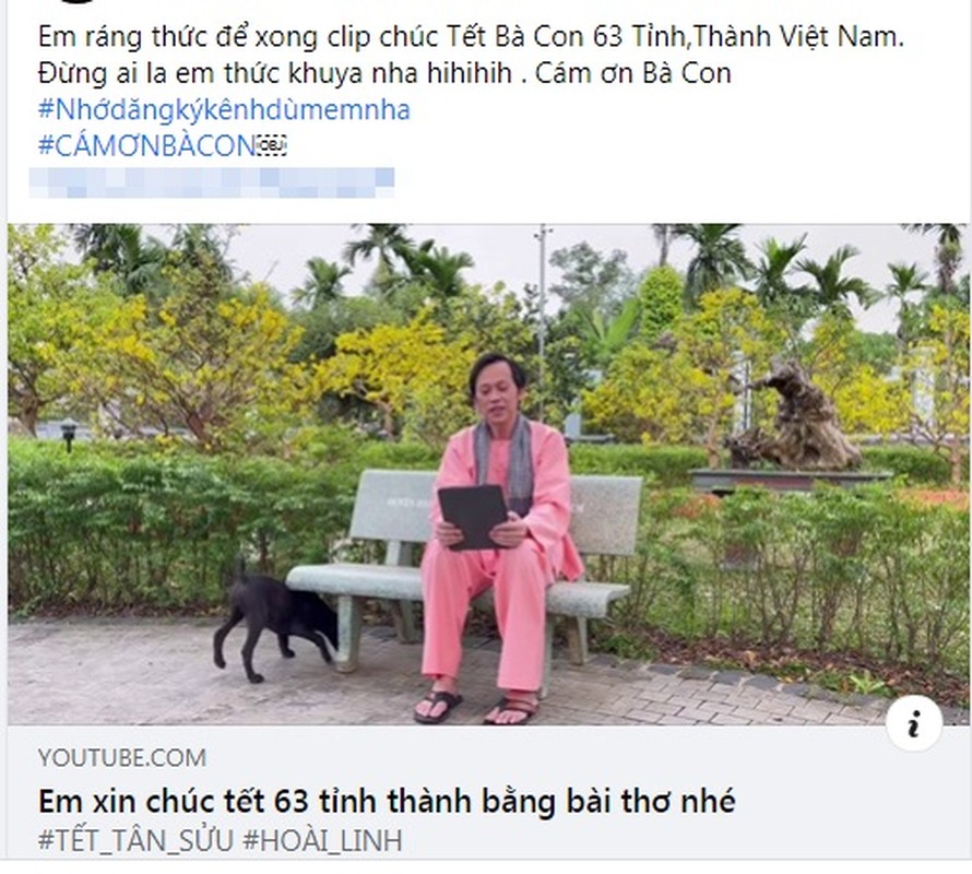 Hoai Linh lam gi trong thoi gian tranh dich COVID-19 khong di tu thien?-Hinh-3