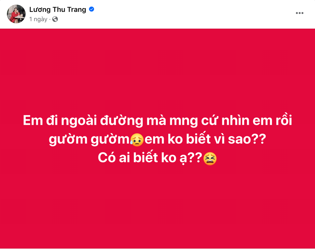 Phan ung cua Luong Thu Trang khi vai dien bi “nem da“-Hinh-3