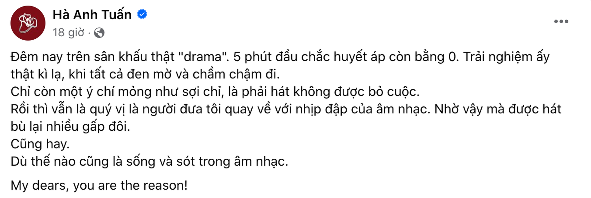 Ha Anh Tuan noi gi ve su co tut huyet ap khi dang dien?-Hinh-3