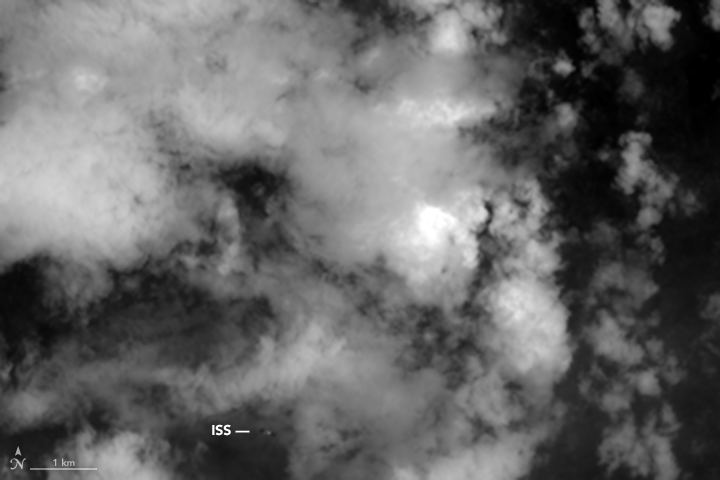 Chum anh tram Landsat 8 bat gap ISS bay gan Trai dat-Hinh-2