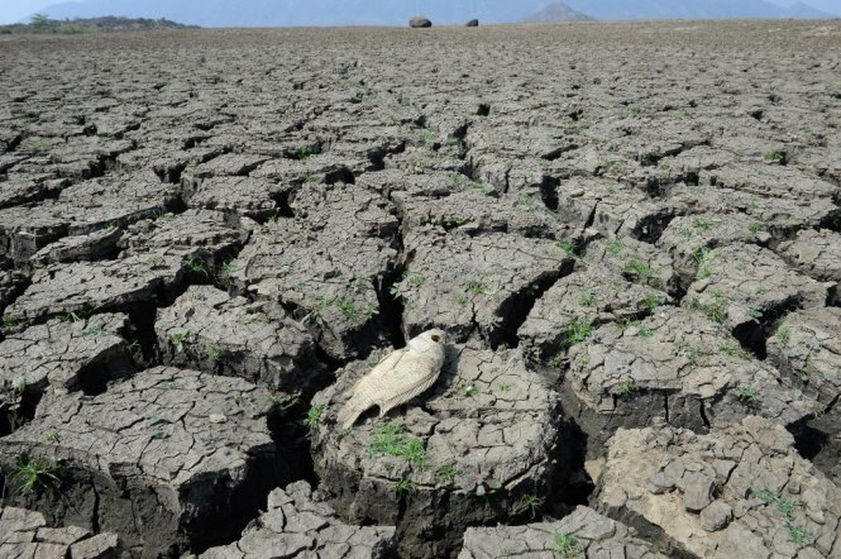 He lo su that kinh hoang ve hien tuong El Nino-Hinh-5