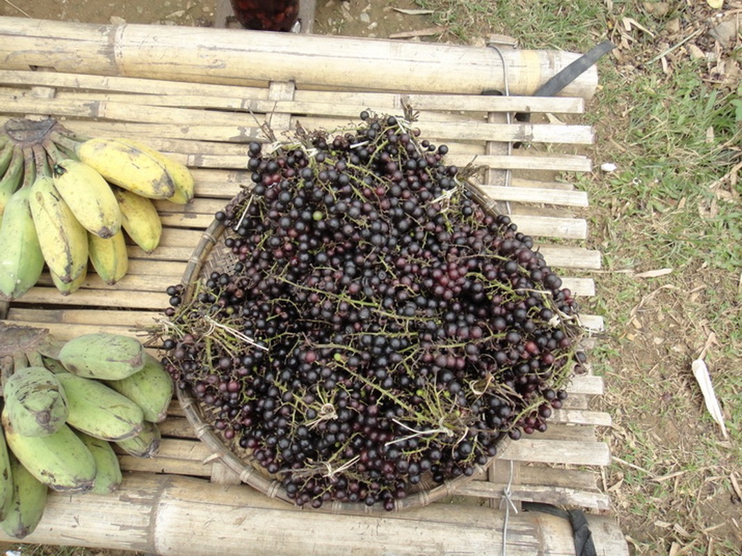 Nho rung, dac san Cao Bang hut bao nguoi co gi thu vi?