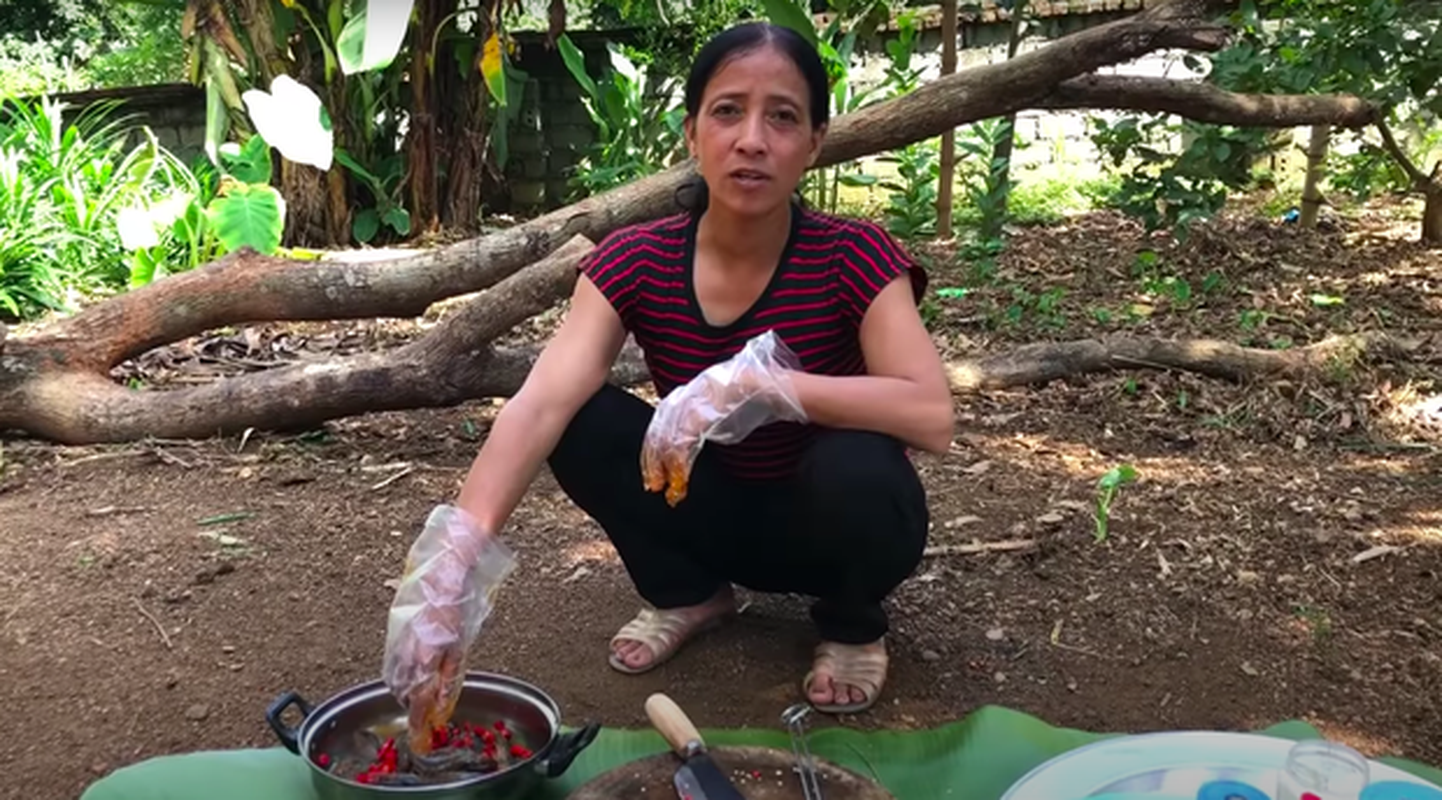 Ban sao Ba Tan Vlog “nhai” ca cau thoai bi dan tinh phan ung du doi-Hinh-6