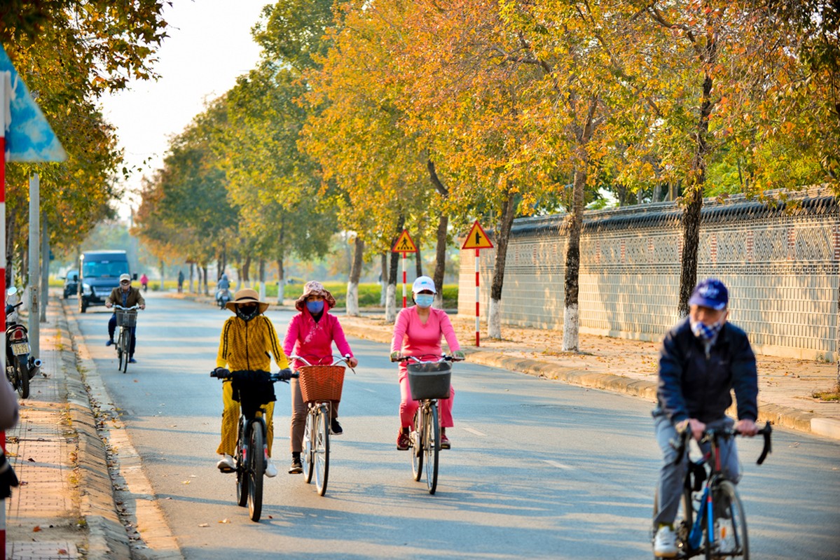 Kham pha hang phong la do giua Ha Noi khien dan tinh ngat ngay-Hinh-9