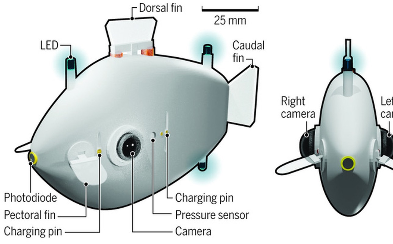 Kham pha dai duong bang ca robot gan camera o mat-Hinh-7