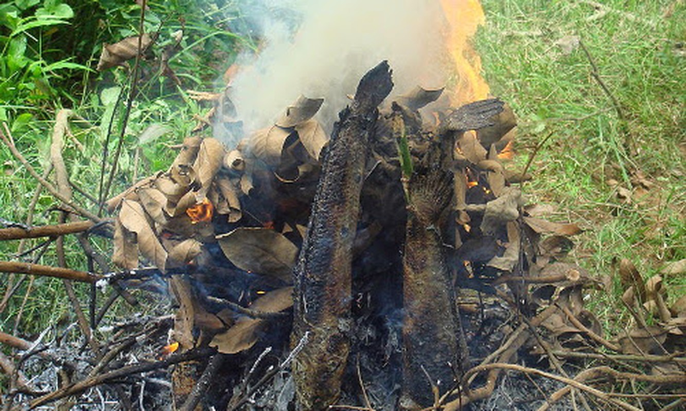 Nhung dac san doc dao cua dat mui Ca Mau-Hinh-9