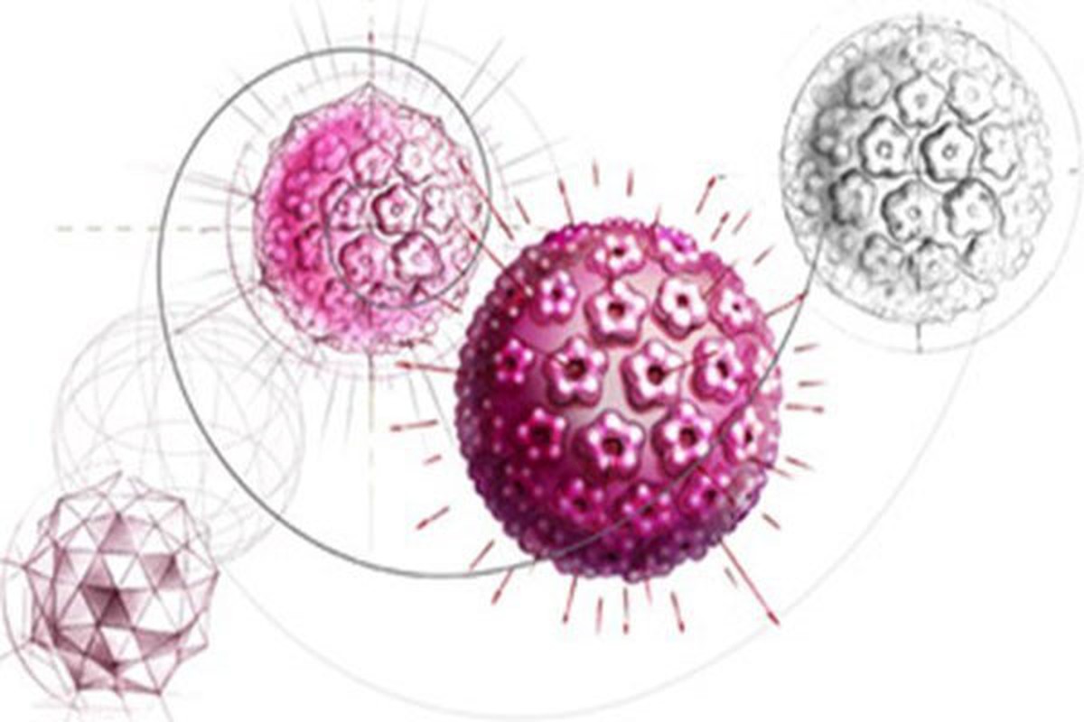 DNA va nhung cau chuyen bat ngo thu vi-Hinh-8