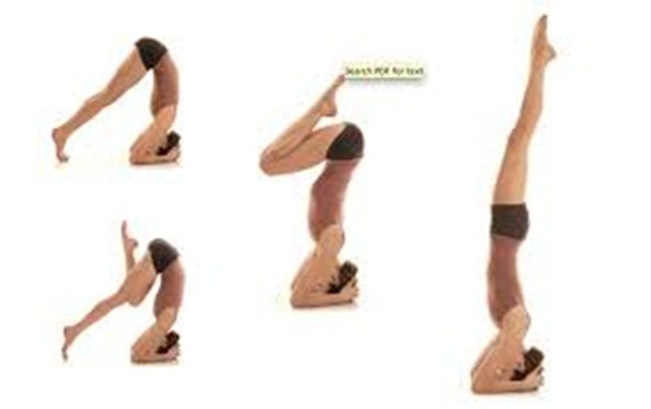 Vo van tac dung cua tu the Headstand trong the duc-Hinh-7