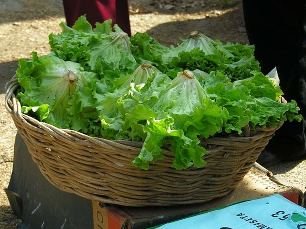 Ap dung ngay 9 thoi quen don gian hang ngay de lam cham qua trinh lao hoa-Hinh-4