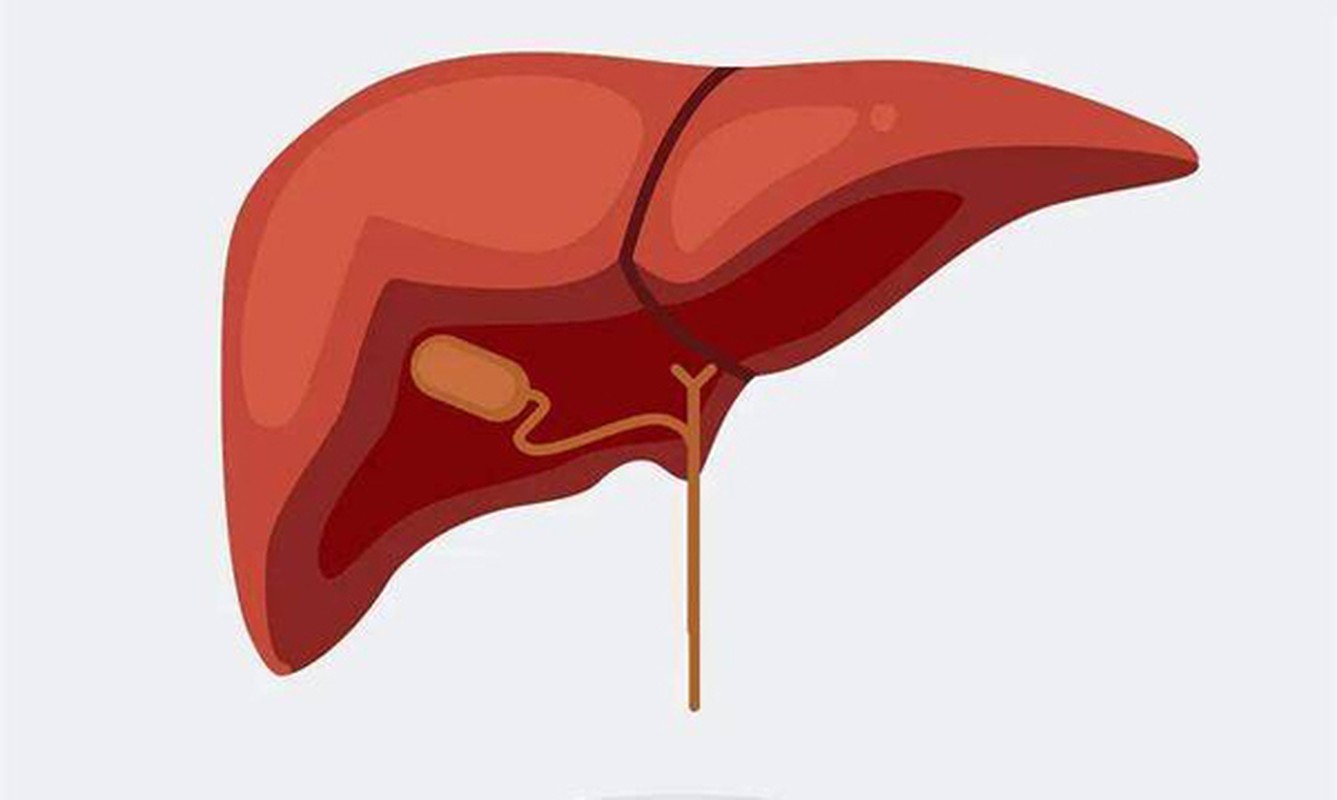 Vitamin co the hai gan khung khiep, 4 loai phai can trong khi dung-Hinh-7