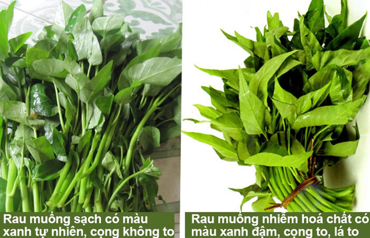 4 loai rau de “tam” hoa chat: Meo nhan biet don gian nhat-Hinh-10