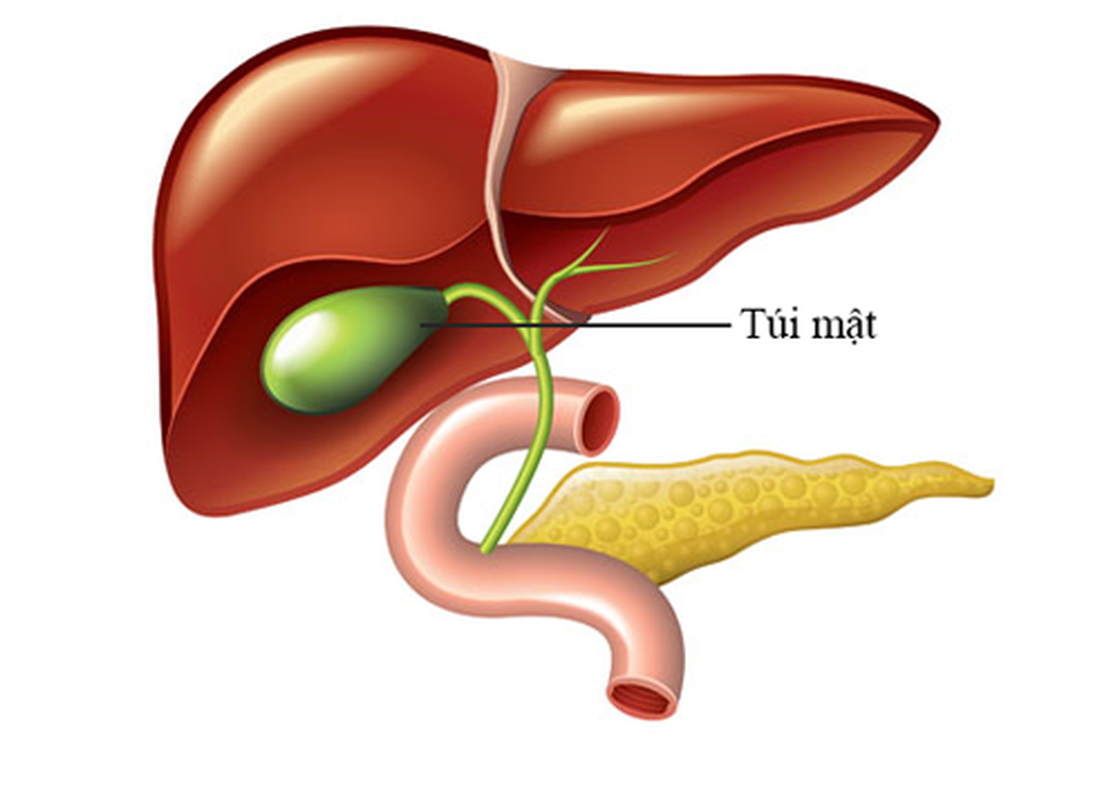 Thuc giac nua dem mieng kho dang, coi chung mac benh hiem-Hinh-8