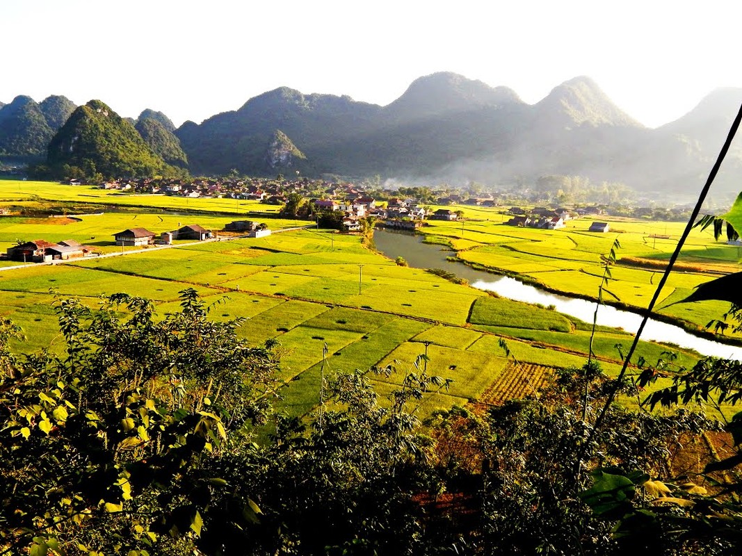 Nhung canh dong ong a mua lua chin hut hon du khach-Hinh-7