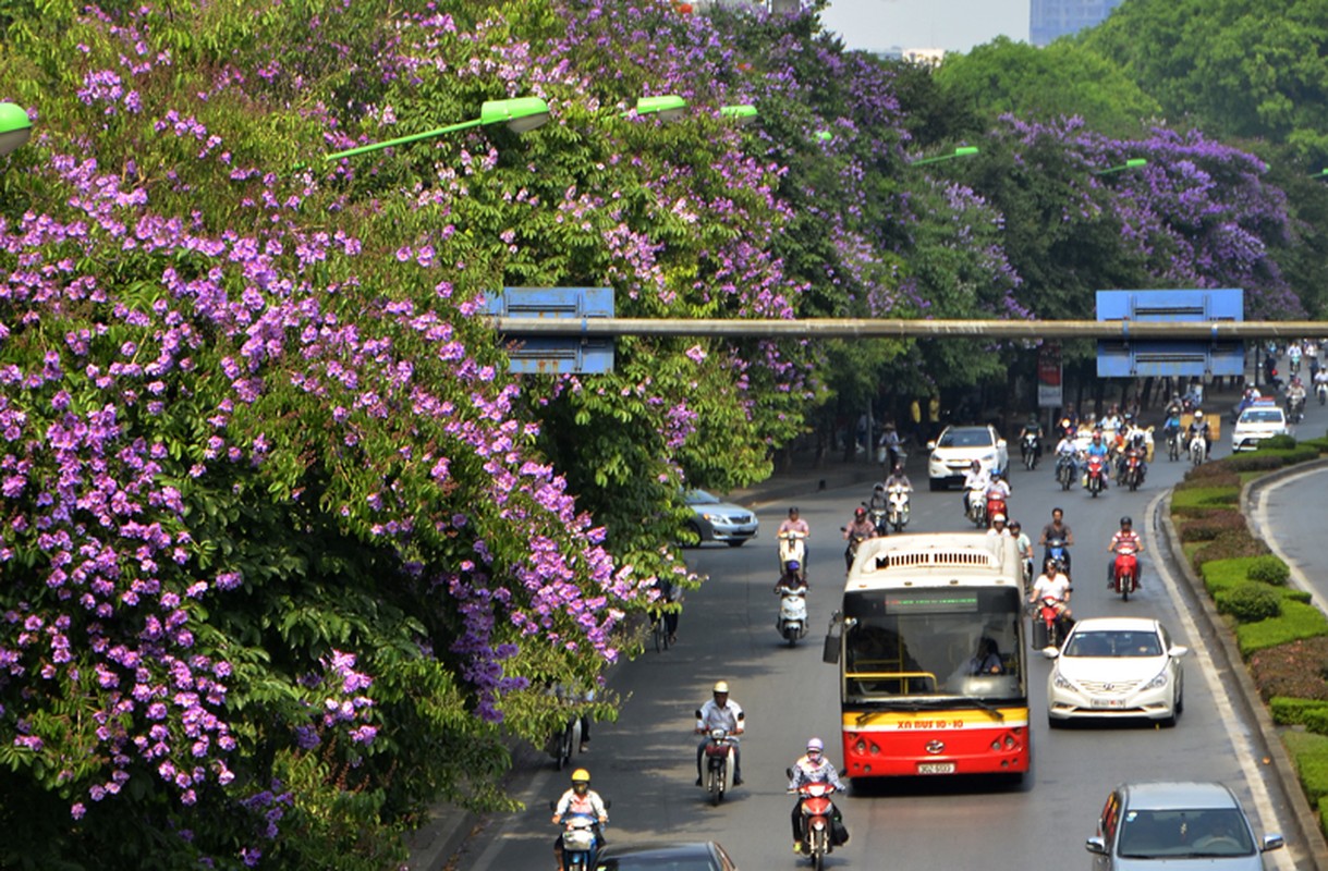 Bat ngo bai thuoc chua benh tu hoa bang lang-Hinh-2