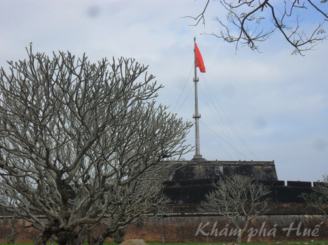 Ngat ngay ve dep khac la cua mua dong xu Hue-Hinh-3