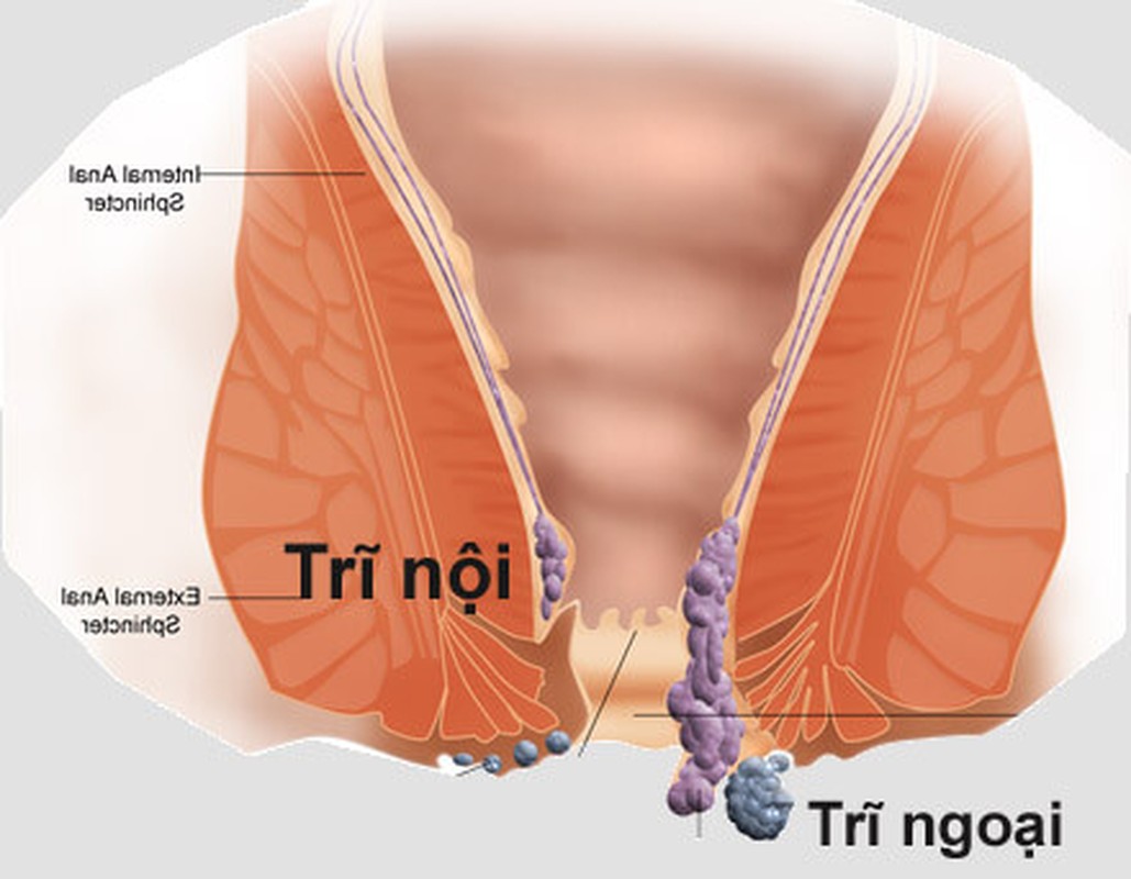 5 loai cay mang ten dong vat chua benh hieu qua hon thuoc-Hinh-11