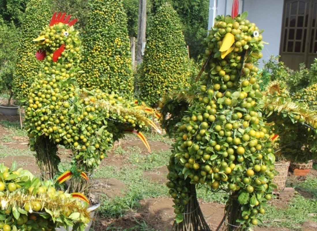 Bai thuoc chua benh duong tieu hoa tu cac cay canh quen thuoc-Hinh-2