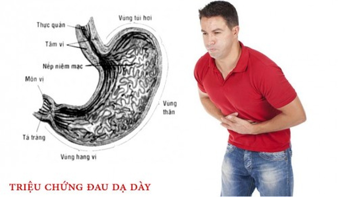 Cac mon an bai thuoc tu ca chua dau da day hieu qua