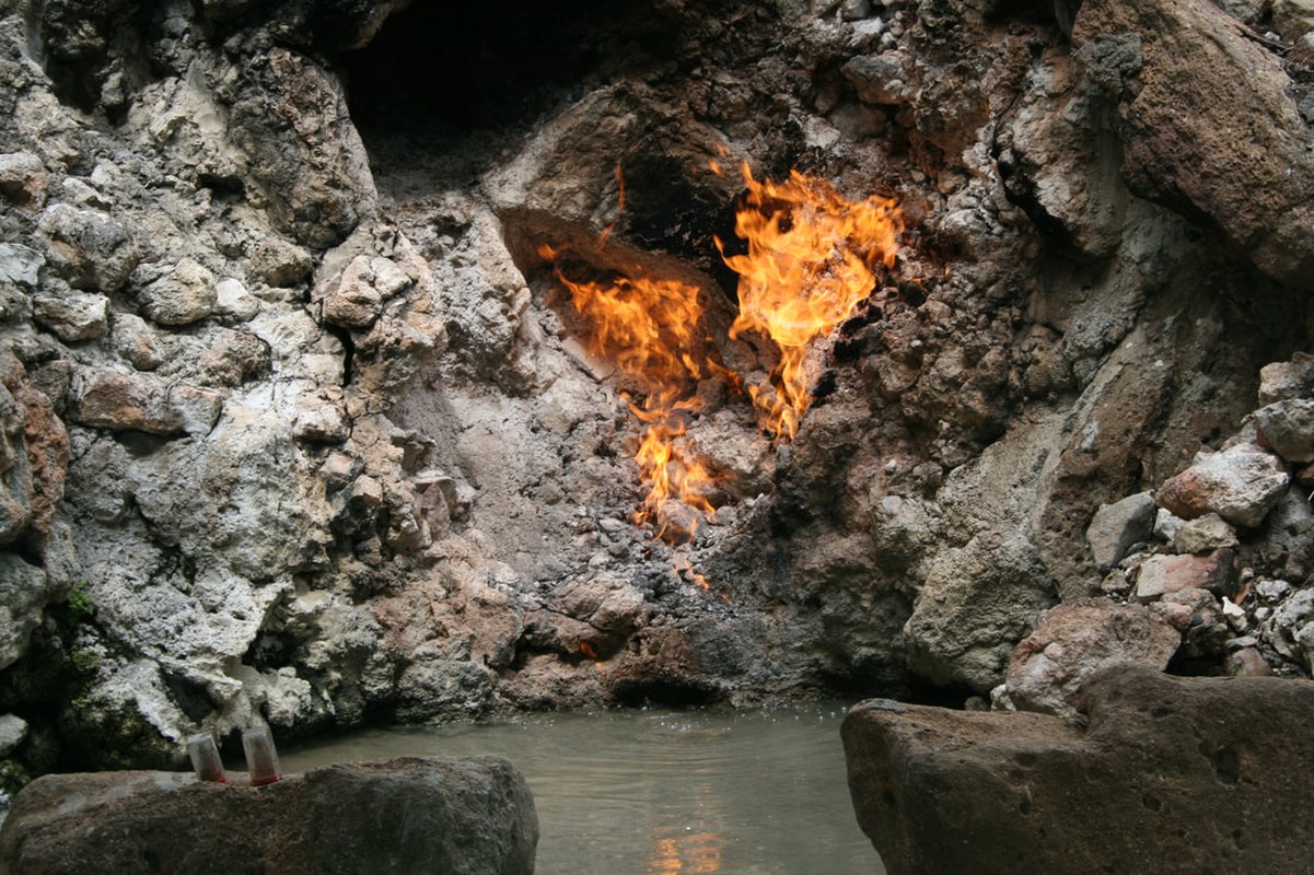 4 ngon lua vinh cuu bi an nhat the gian, rung minh so 3-Hinh-13
