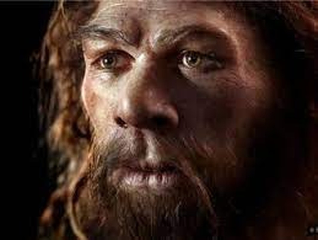 Giai bi an “can benh Viking”: Co nguon goc tu nguoi Neanderthal?-Hinh-3