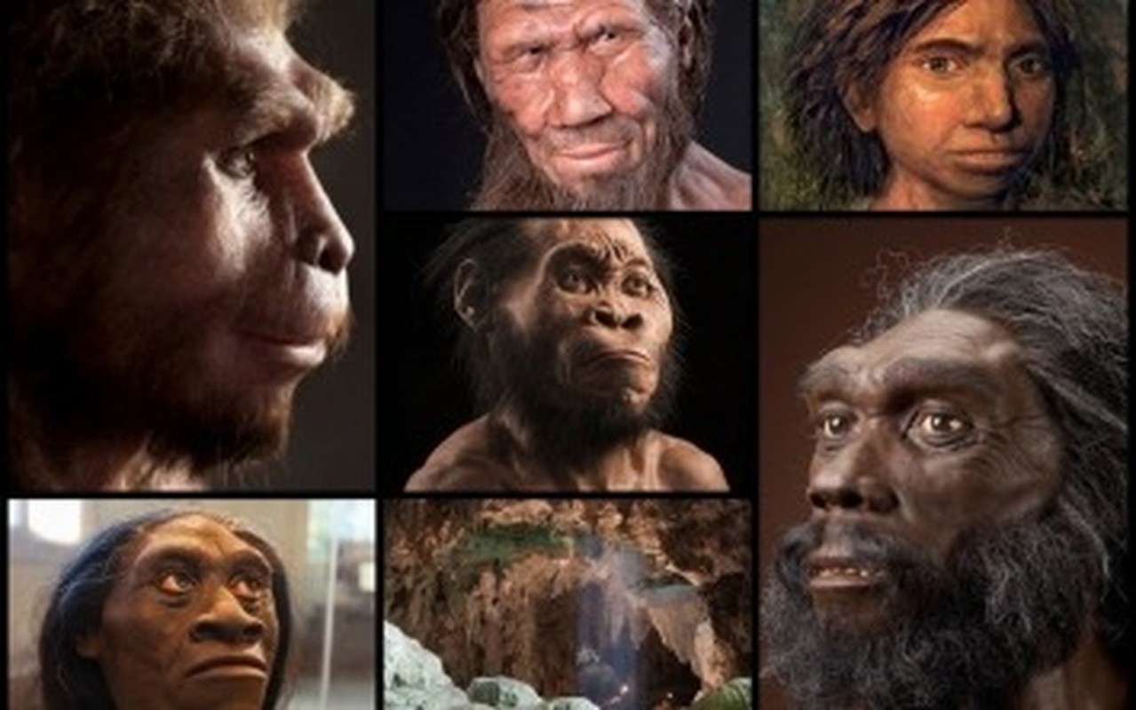 Giai bi an “can benh Viking”: Co nguon goc tu nguoi Neanderthal?-Hinh-4