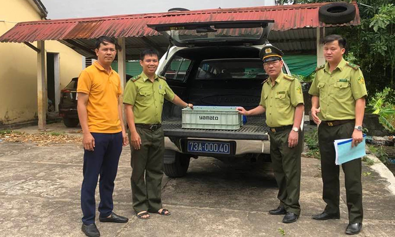 Quang Binh tiep nhan 3 ca the rua nui vien: Loai quy hiem!-Hinh-3