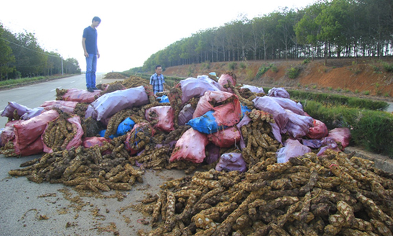 Nong san di thuong thuong lai TQ quyet mua o VN