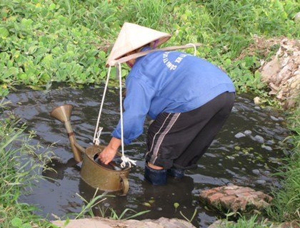 Kinh di kieu trong rau bang nuoc den ngom o Ha Noi-Hinh-3