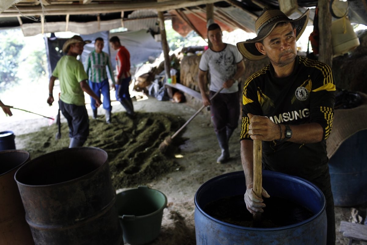 Can canh qua trinh san xuat cocain tai Colombia-Hinh-6