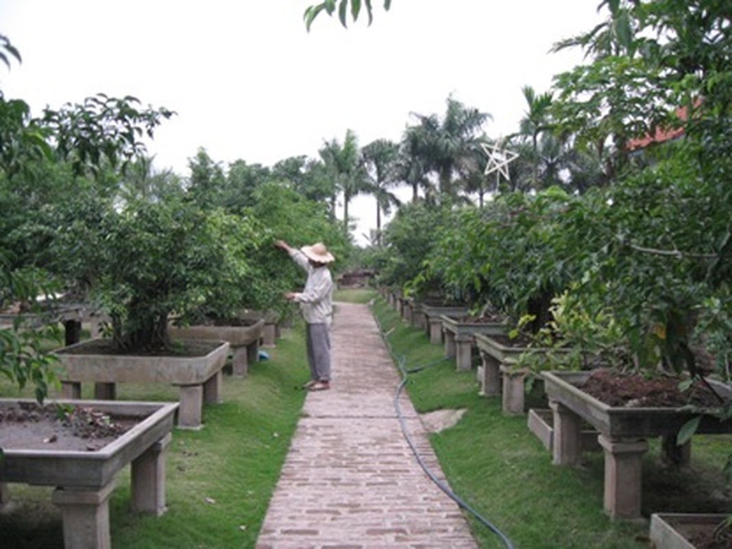 Nhung lang cay canh gia khung noi tieng nhat Viet Nam-Hinh-4