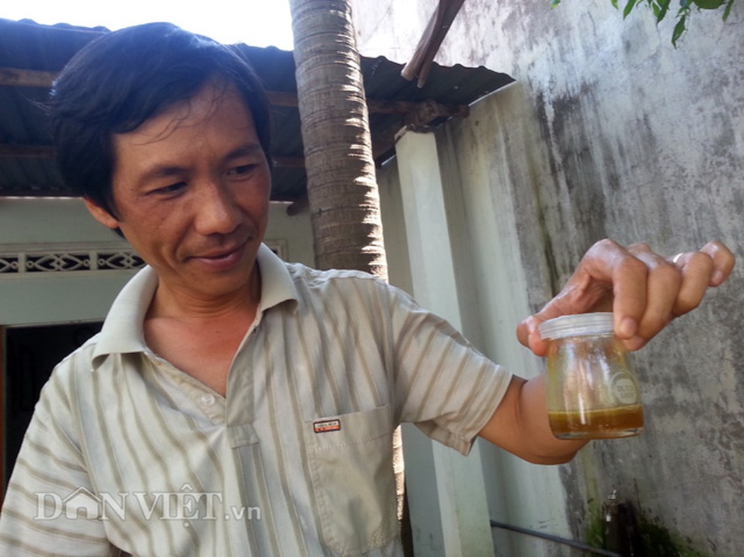 Hoi hop thu hoach mat ong ruoi tu nhien… tai san nha pho-Hinh-6