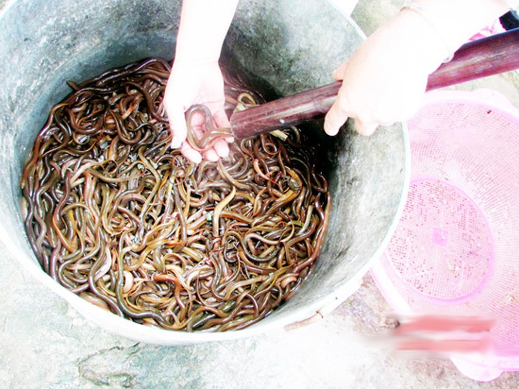 Doc dao nghe dat ong san luon dong kiem tien trieu de nhu choi