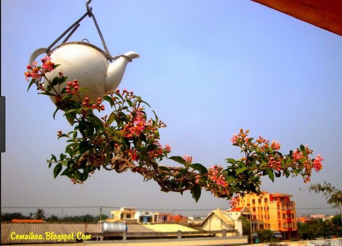 Ngam nhung chau bonsai mini trong nguoc dep me man