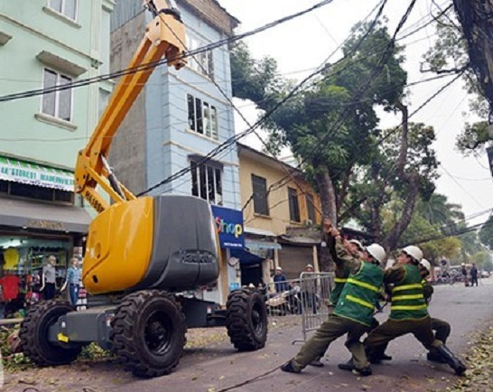 Can canh xe cat tia cay gia “soc” o Ha Noi-Hinh-2