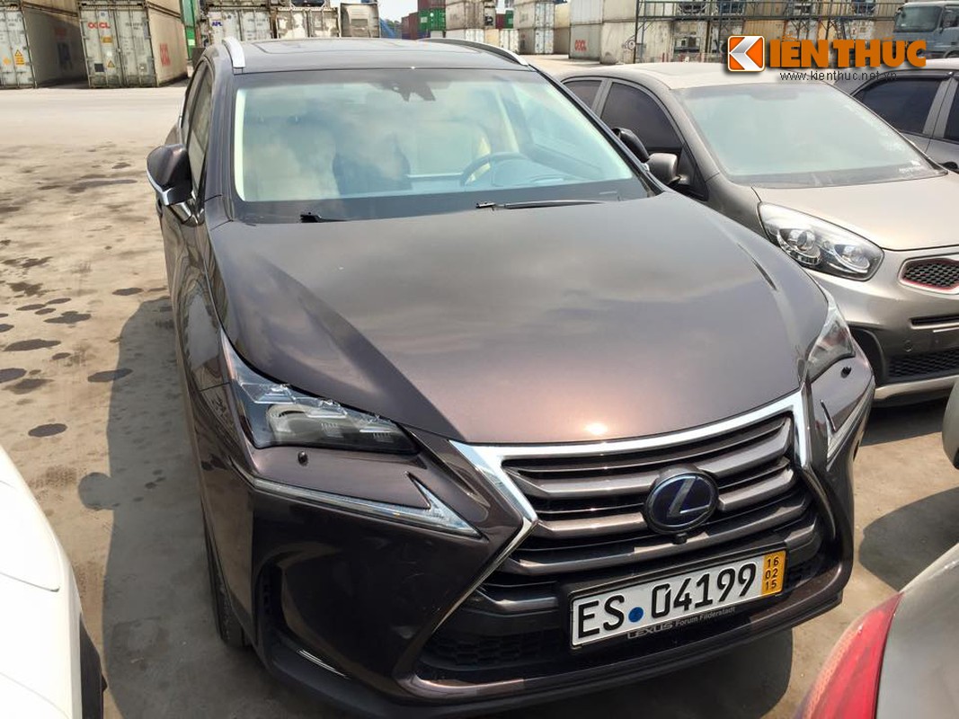 Lexus NX300h tri gia 3 ty VND cap ben Viet Nam-Hinh-2