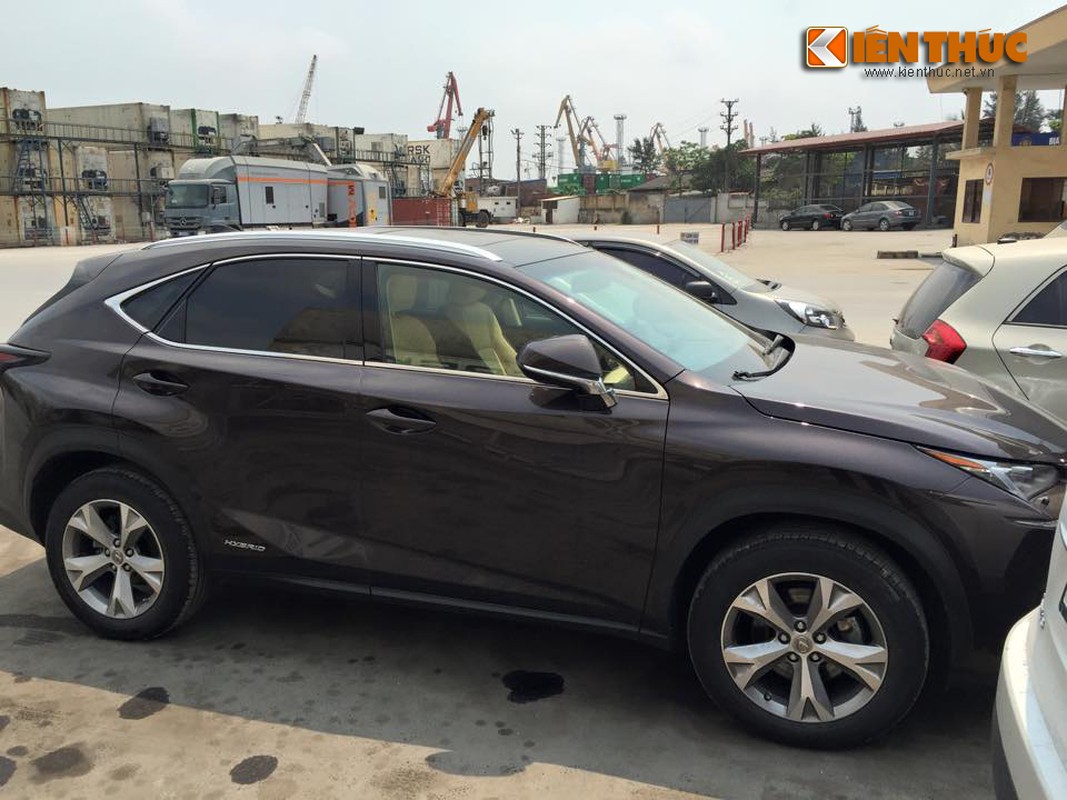 Lexus NX300h tri gia 3 ty VND cap ben Viet Nam-Hinh-3