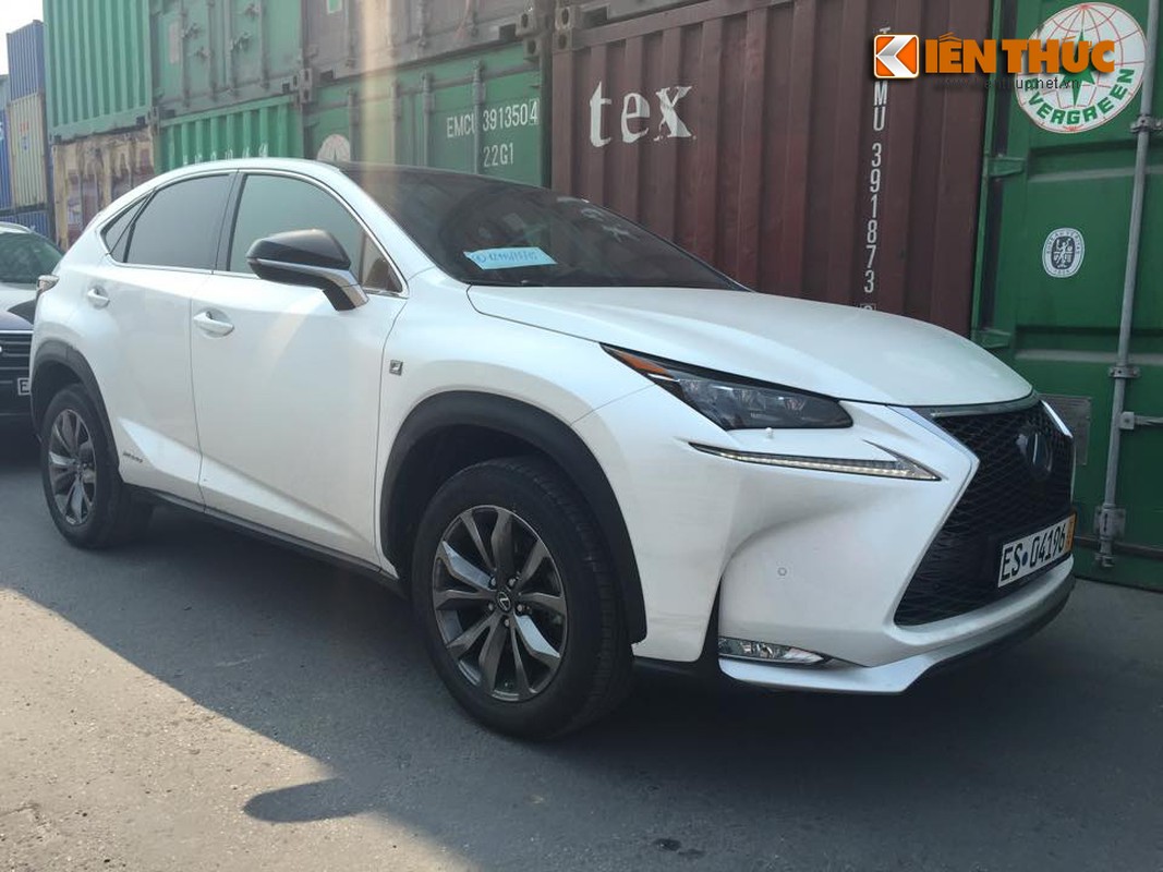 Lexus NX300h tri gia 3 ty VND cap ben Viet Nam-Hinh-5