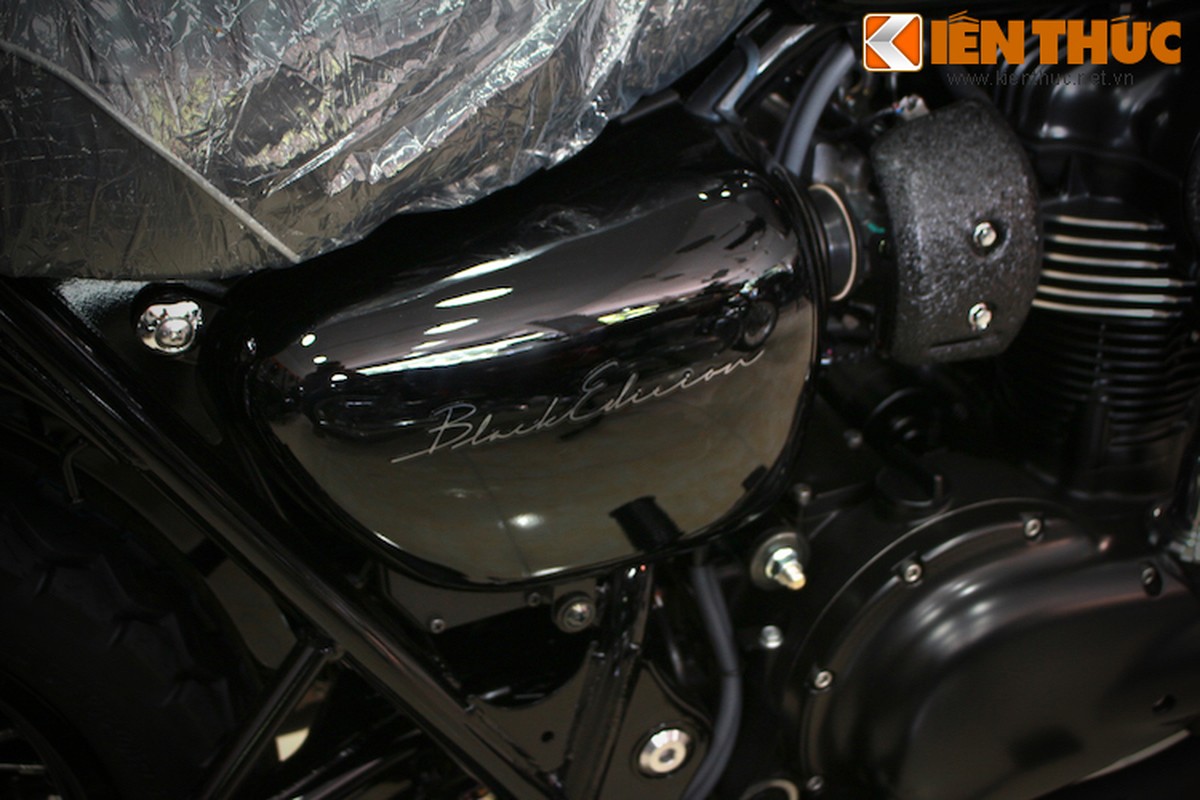 Kawasaki W800 2015 ban dac biet xuat hien tai Ha Noi-Hinh-8