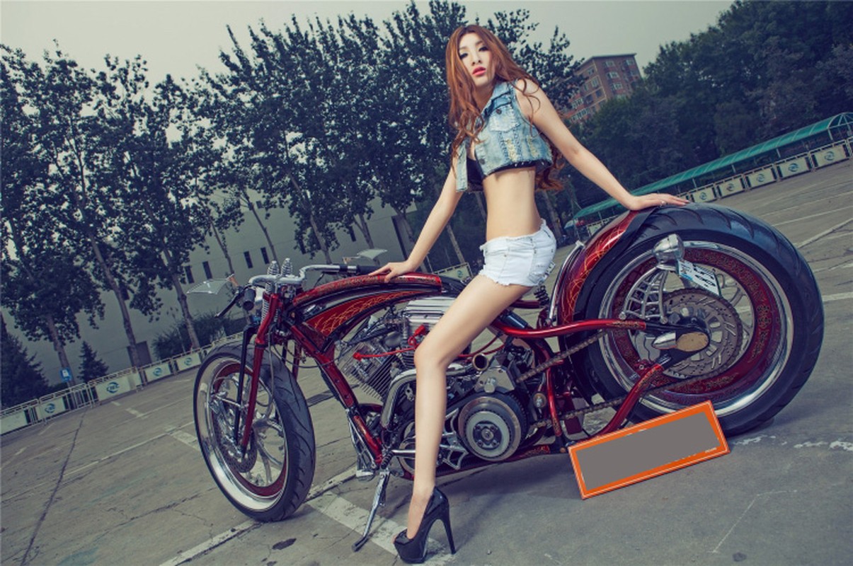 Moto Harley-Davidson khung do dang &quot;chan dai den nach&quot;-Hinh-5