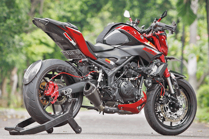 Xe may Yamaha MT-25 do “khung” chi 33,6 trieu-Hinh-3