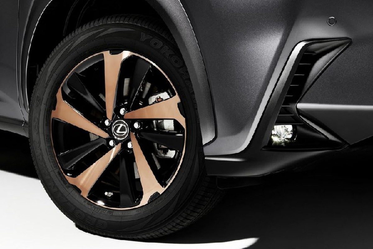 Xe sang Lexus NX 300 Black Line Special Edition 2020 trinh lang-Hinh-3