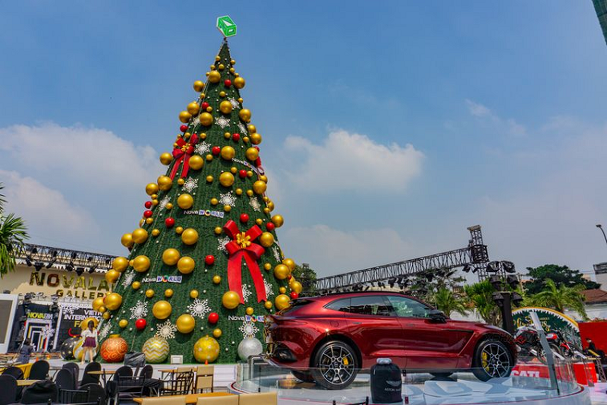 Ngam sieu SUV Aston Martin DBX chinh hang, hon 16 ty tai Viet Nam-Hinh-7