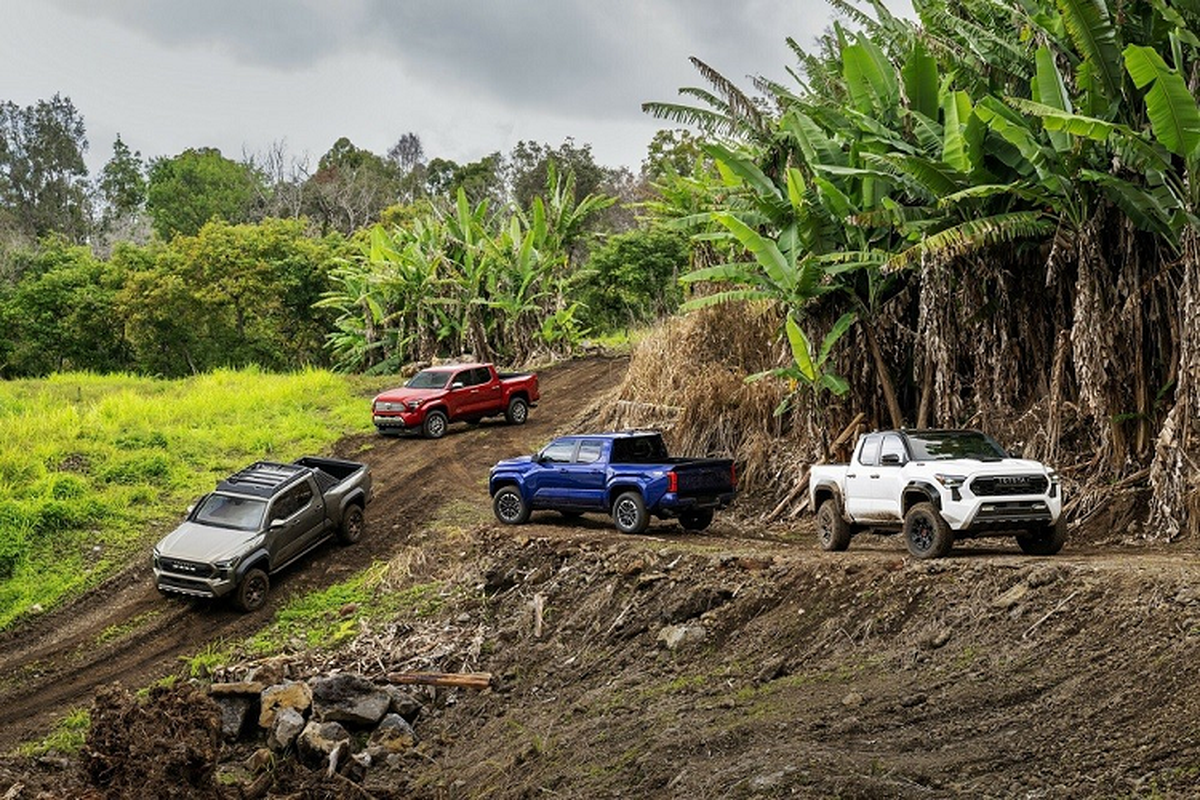 Toyota Tacoma 2024 “sang, xin, min” hon cua Hilux chinh thuc trinh lang