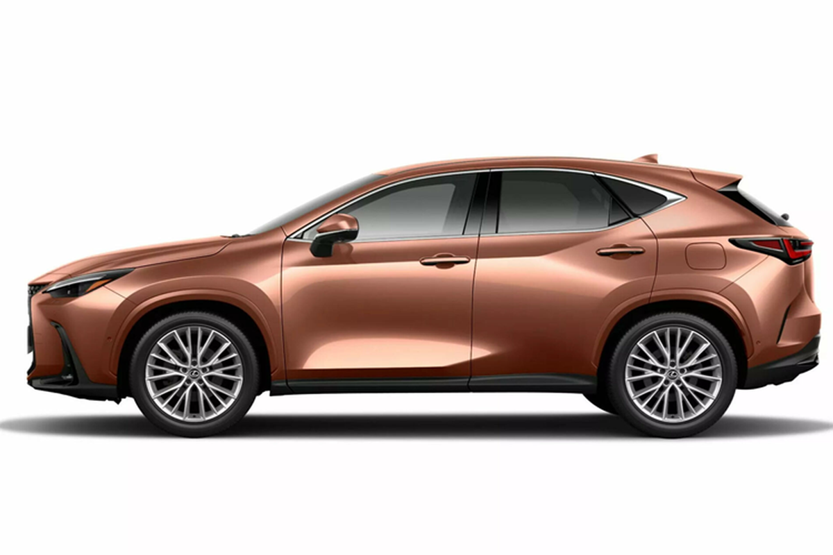 Chi tiet Lexus NX 2024 ban Overtrail Edition, gia tu 1,068 ty dong-Hinh-2