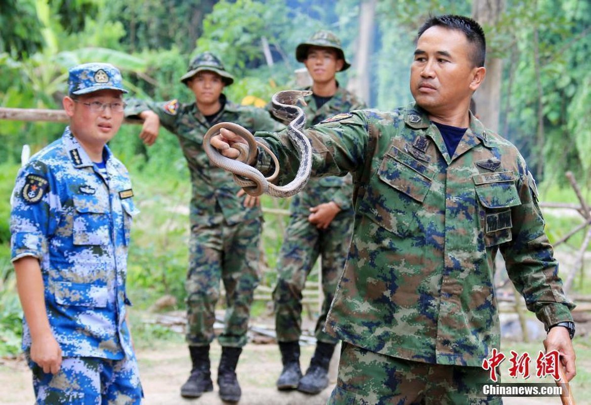 Can canh Thai Lan day linh Trung Quoc thoi mien...ran doc-Hinh-2