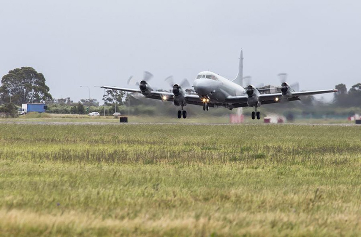 Australia chia tay may bay P-3C Orion, co hoi cho Viet Nam?-Hinh-7