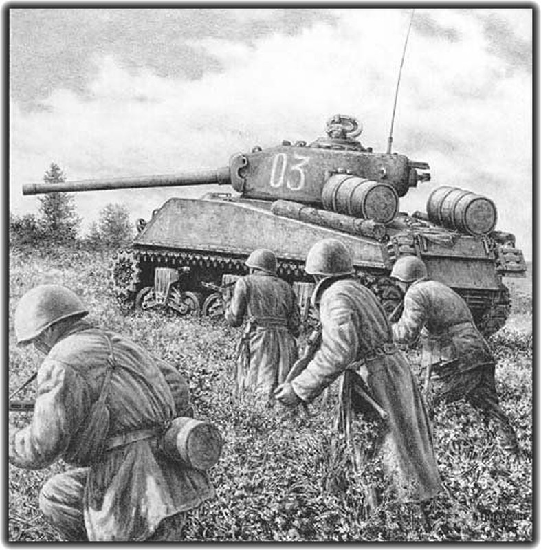 Giai ma &quot;soc&quot;: Linh Lien Xo thich tang M4 Sherman hon T-34-Hinh-13
