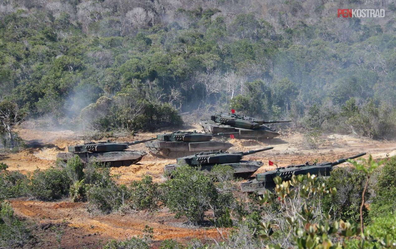 Can canh sieu tang Leopard 2RI cua lang gieng Indonesia-Hinh-4