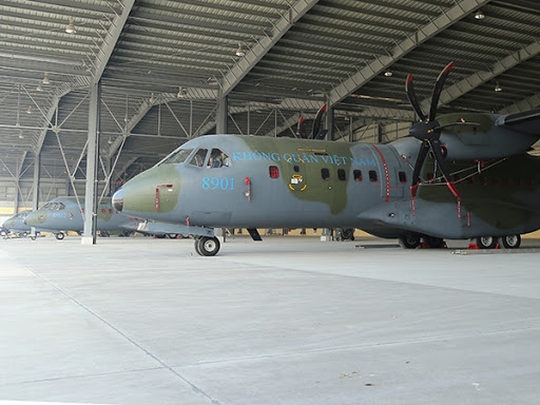 Ly do Viet Nam chua so huu Il-76 va “thay mau” luc luong van tai co-Hinh-3